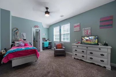 29300 Sorrel Lane, Waller, TX 77484 - Photo 24