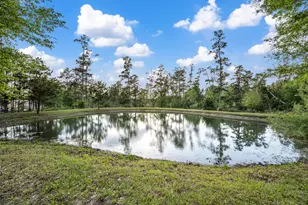 94 Fm 3179 Rd, Huntsville, TX 77340 - Photo 6