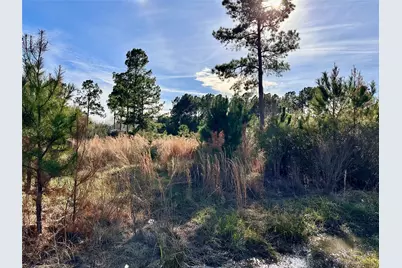 Tbd County Road 3479A, Cleveland, TX 77327 - Photo 4