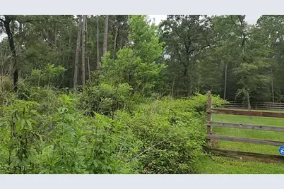 Lot 11 Scarlet Oak Drive, Plantersville, TX 77363 - Photo 18