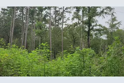 Lot 11 Scarlet Oak Drive, Plantersville, TX 77363 - Photo 12
