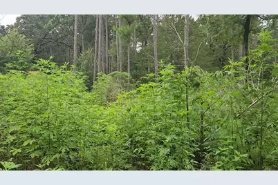 Lot 11 Scarlet Oak Drive, Plantersville, TX 77363 - Photo 10