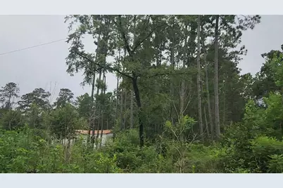 Lot 11 Scarlet Oak Drive, Plantersville, TX 77363 - Photo 1