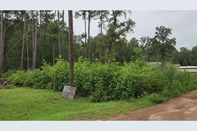 Lot 11 Scarlet Oak Drive, Plantersville, TX 77363 - Photo 6