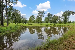225 Lynn Hendrix Rd, Livingston, TX 77351 - Photo 6