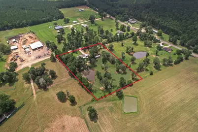 225 Lynn Hendrix Road, Livingston, TX 77351 - Photo 8