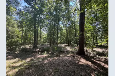 Tbd Cr 3141 W Road, Cleveland, TX 77327 - Photo 6