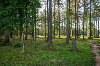 Tbd County Road 4670, Fred, TX 77616 - Photo 4