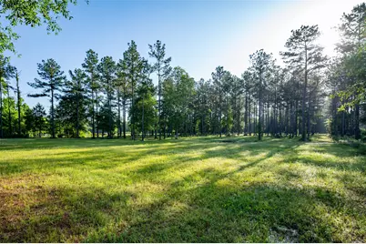 Tbd County Road 4670, Fred, TX 77616 - Photo 2