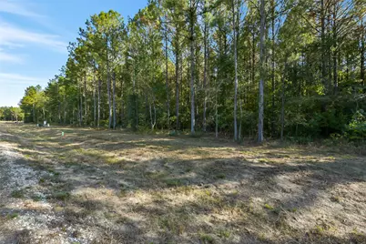 1878 Road 66116, Dayton, TX 77535 - Photo 4