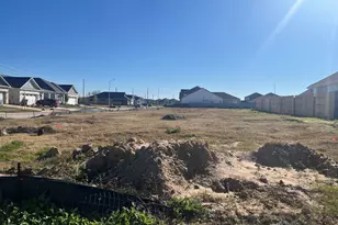 32303 Clouser Minnow Ct, Fulshear, TX 77441 - Photo 2