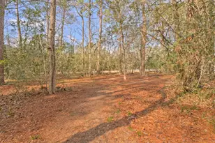 8903 Sendera Dr, Magnolia, TX 77354 - Photo 32