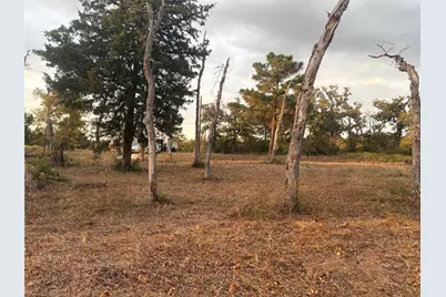 000 Park View Drive, Hempstead, TX 77445 - Photo 14