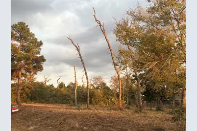 000 Park View Drive, Hempstead, TX 77445 - Photo 12