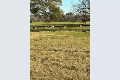 331 Green Pasture Court, Angleton, TX 77515 - Photo 6
