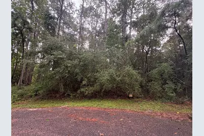 22 & 23 Helena Court, Coldspring, TX 77331 - Photo 1