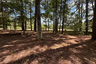 231 Pr 5005, Crockett, TX 75835 - Photo 42