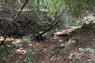 231 Pr 5005, Crockett, TX 75835 - Photo 40