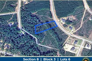 15981 Ridge Oak Rd, Willis, TX 77378 - Photo 1