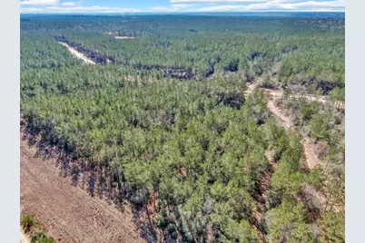 15388 Forest Grove Drive, Willis, TX 77378 - Photo 12