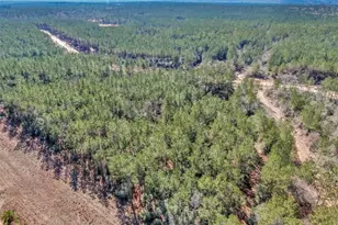 15388 Frst Grv Dr, Willis, TX 77378 - Photo 12