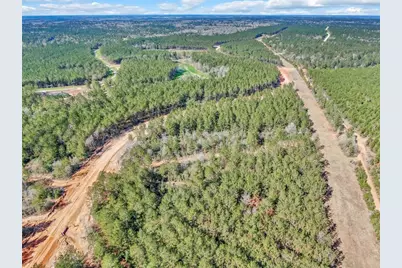 15388 Forest Grove Drive, Willis, TX 77378 - Photo 18