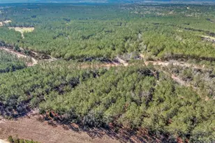 15388 Frst Grv Dr, Willis, TX 77378 - Photo 16