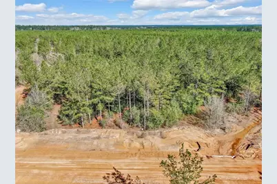 15388 Forest Grove Drive, Willis, TX 77378 - Photo 8