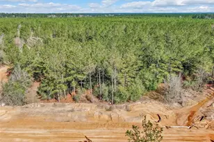 15388 Frst Grv Dr, Willis, TX 77378 - Photo 8