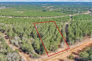 15388 Frst Grv Dr, Willis, TX 77378 - Photo 4