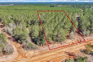 15388 Frst Grv Dr, Willis, TX 77378 - Photo 2