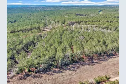 15388 Forest Grove Drive, Willis, TX 77378 - Photo 14