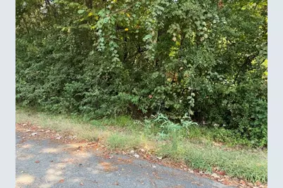 Tbd Beaver Den Drive, Coldspring, TX 77331 - Photo 8