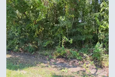 Tbd Beaver Den Drive, Coldspring, TX 77331 - Photo 2
