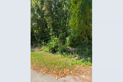 Tbd Beaver Den Drive, Coldspring, TX 77331 - Photo 6