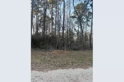 0 Forester, Livingston, TX 77351 - Photo 1