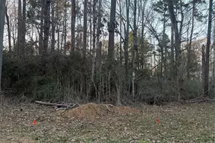 0 Forester, Livingston, TX 77351 - Photo 1