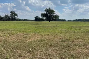 0 Diemer Rd, Brookshire, TX 77423 - Photo 1