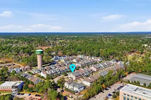 259 Green Blvd, Shenandoah, TX 77384 - Photo 48