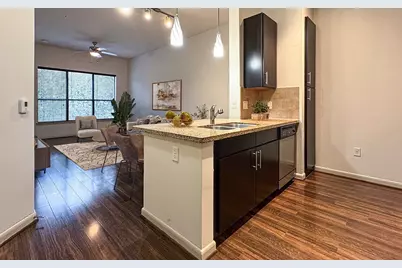 306 McGowen Street #1116, Houston, TX 77006 - Photo 2