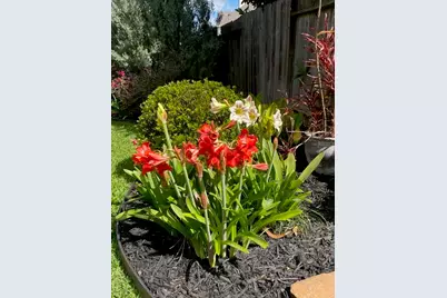 308 Shore Breeze Lane, League City, TX 77573 - Photo 40