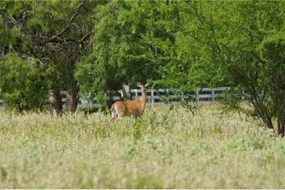 000 Briggs Boulevard, Victoria, TX 77904 - Photo 22