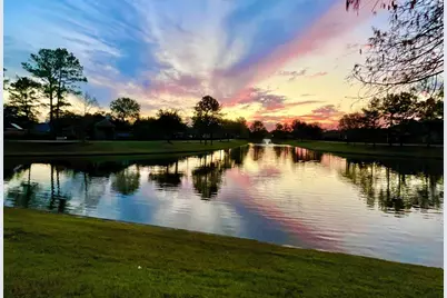 10002 Nectar Path, Rosharon, TX 77583 - Photo 46