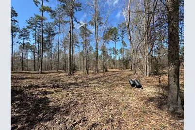 0103 Old Fm 705, Broaddus, TX 75979 - Photo 18