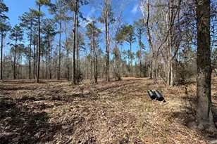 0103 Old Fm 705, Broaddus, TX 75979 - Photo 18