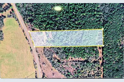 14234 Highway 90 N, Bedias, TX 77831 - Photo 6