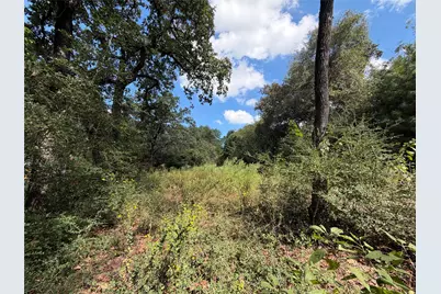 14234 Highway 90 N, Bedias, TX 77831 - Photo 22
