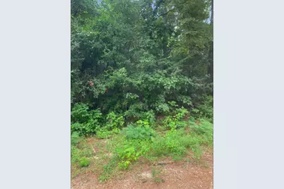 0 Road 2741, Cleveland, TX 77327 - Photo 8