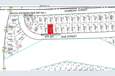 4719 Rue Street, Houston, TX 77033 - Photo 4