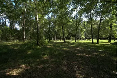 3309 Honea Egypt Road, Montgomery, TX 77316 - Photo 8
